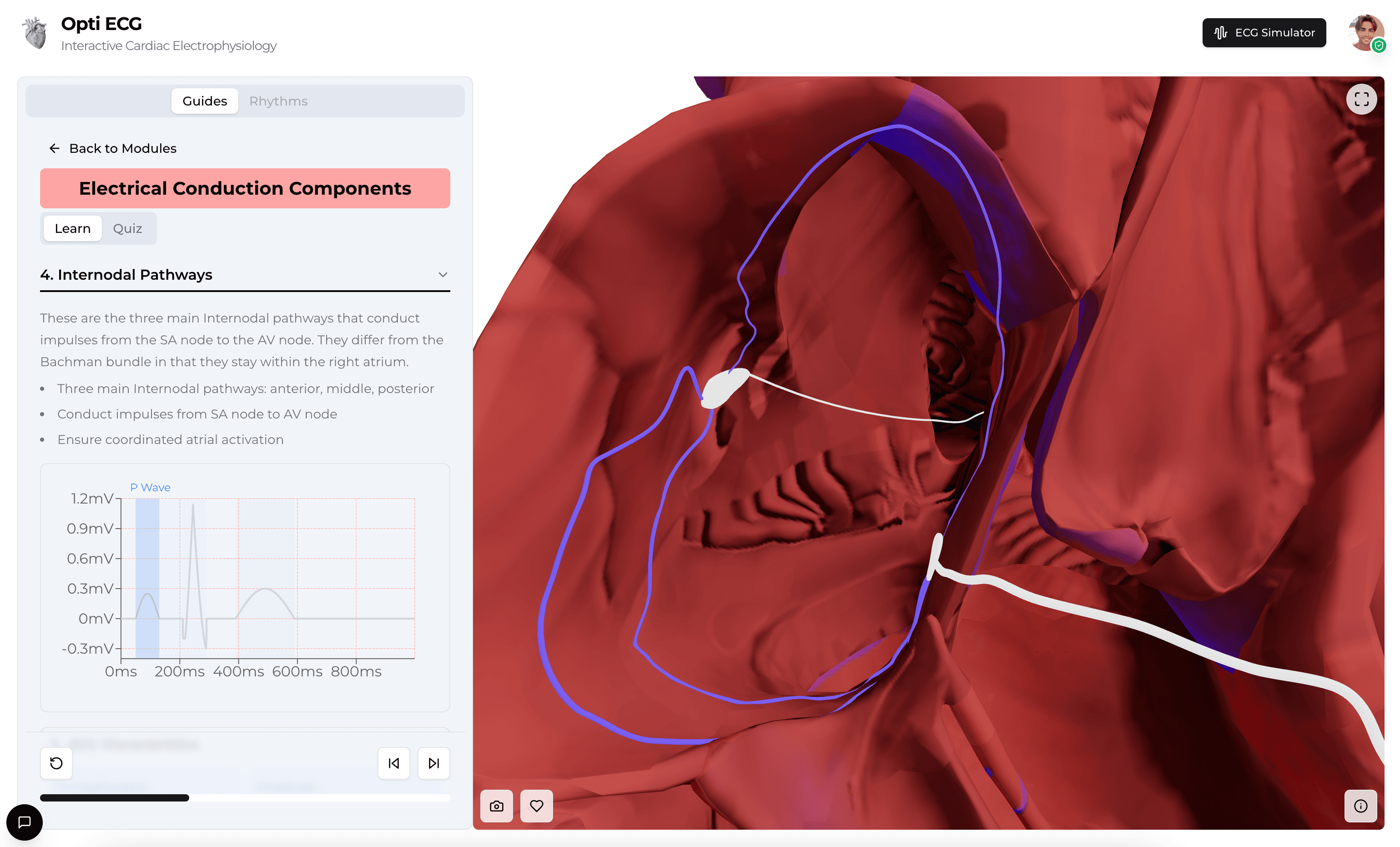 Interactive 3D Learning visualization